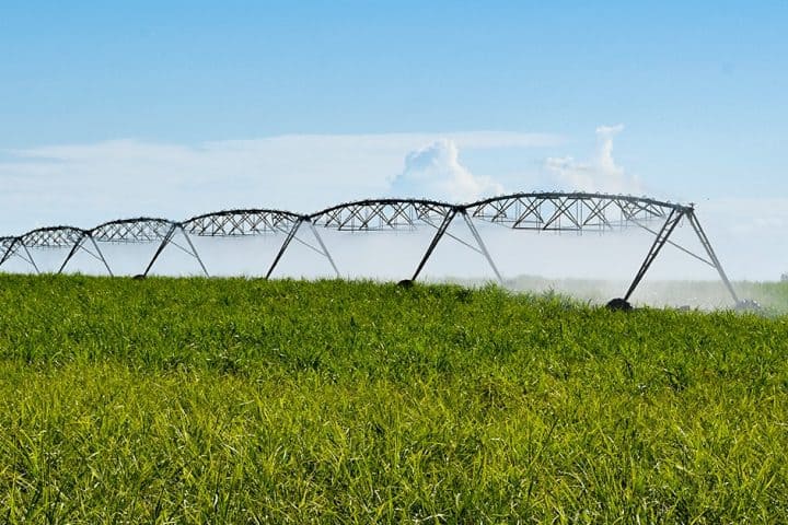 Plantio De Caf Veja Como Aumentar A Produtividade Desse Cultivo