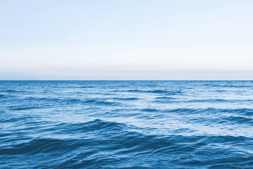 Erw and ocean alkalinity enhancement: combating ocean acidification