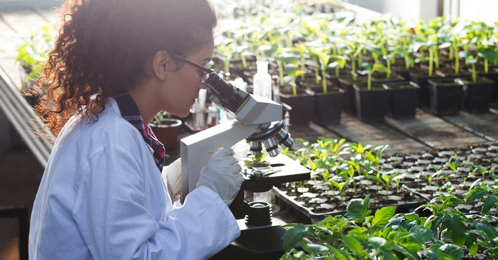 Apostar Na Microbiologia Do Solo E Na Adubação Orgânica Trazem