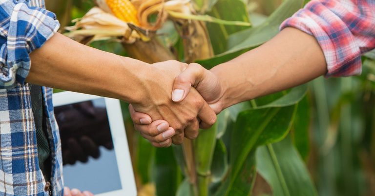 Conheça A Duagro Plataforma De Financiamento De Crédito Da Xp Inc. Para Beneficiar O Agricultor Na Compra De Insumos