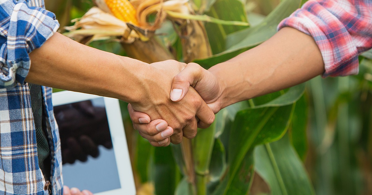 Conheça a DuAgro plataforma de financiamento de crédito da XP Inc. para beneficiar o agricultor na compra de insumos