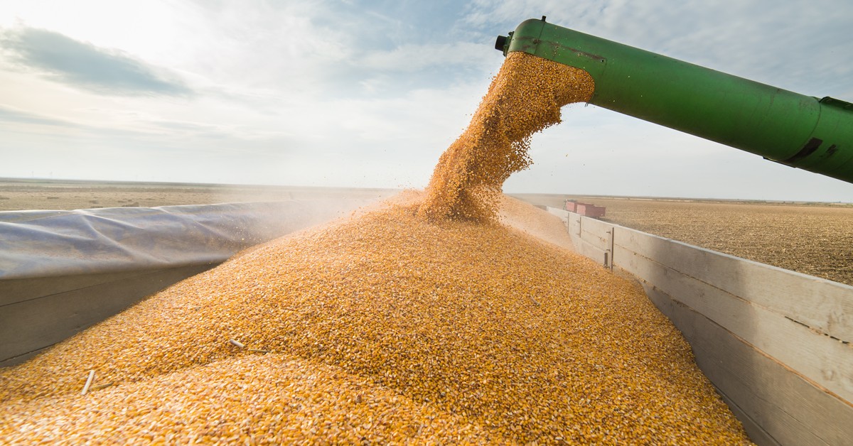 Entenda por que a agricultura brasileira continua em expansão em meio à crise do Covid-19