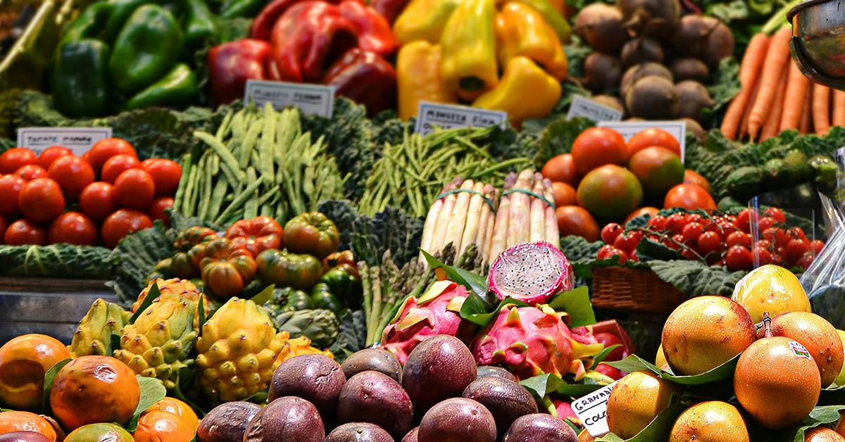 17-08-2020_Entenda que é possível aliar produção de alimentos e conservação ambiental