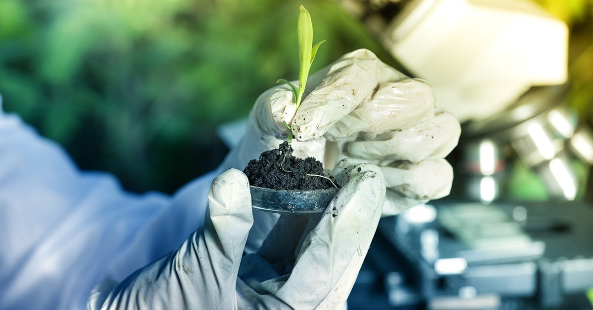 Saiba como a biotecnologia está transformando as culturas de soja e milho