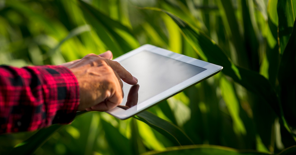 Startups do Agro apostam em tecnologia para oferecer soluções cada vez mais inovadoras para produtores agropecuários em meio à crise - 17 08 2020 Startups do Agro apostam em tecnologia para oferecer solucoes cada vez mais inovadoras para produtores agropecuarios em meio a crise