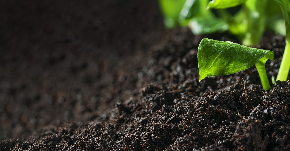 Descubra como evitar a segregação de nutrientes causada pelos fertilizantes formulados compostos por misturas de grânulos