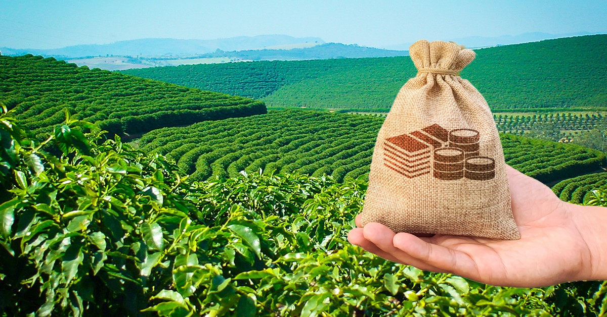09-12-2020_Por que os insumos agrícolas são mais caros no Brasil