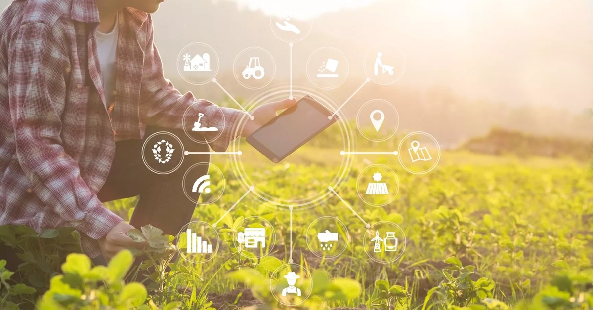 Conheça o futuro da produtividade com a agricultura 4.0