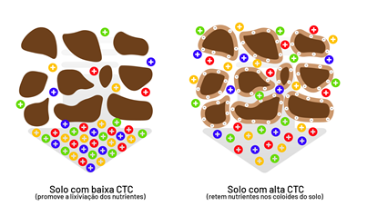 A Ctc É Influenciada Tanto Pela Textura Do Solo Presente Na Região, Quanto Pela Presença De Matéria Orgânica