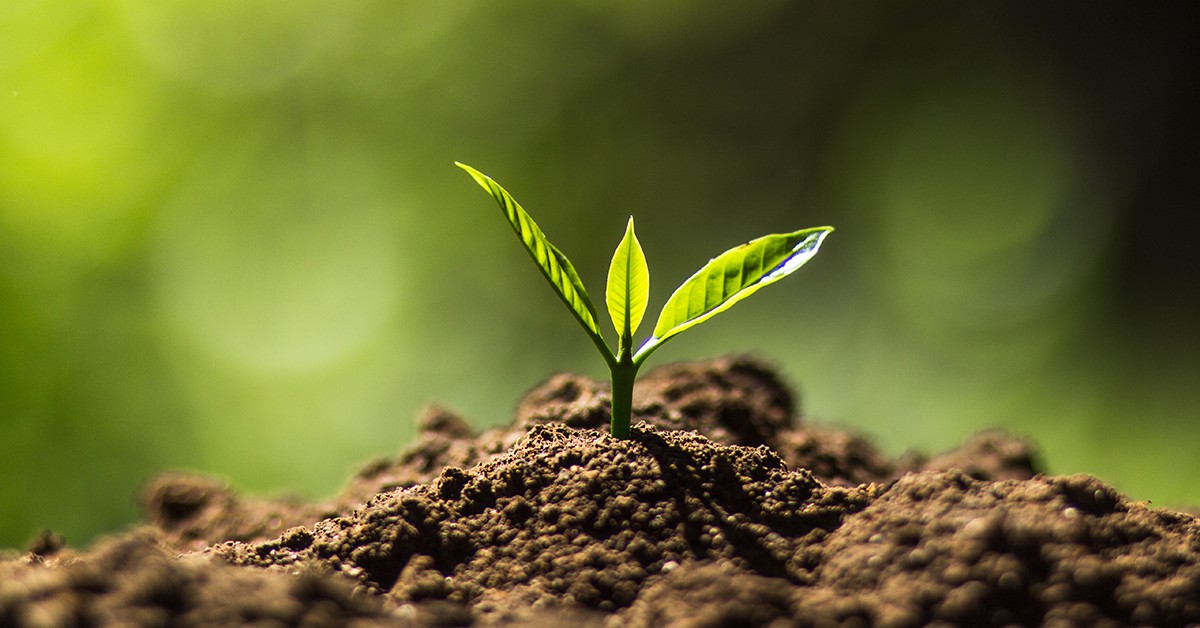 Qual e a fonte mais barata de enxofre para a agricultura
