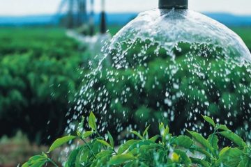 Como Otimizar O Uso Da Água No Solo Através Do Siltito Glauconítico