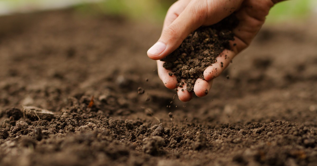 Inoculação de microrganismos em fertilizantes