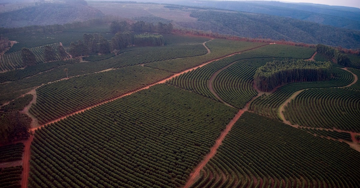Saiba mais sobre o uso do nitrato de amônio como fertilizante - O que e o nitrato de amonio