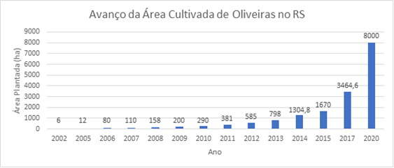 Avança Da Área Cultivada Oliveiras No Rs. (Fonte: Adaptado De Alves, G.a., 2018).