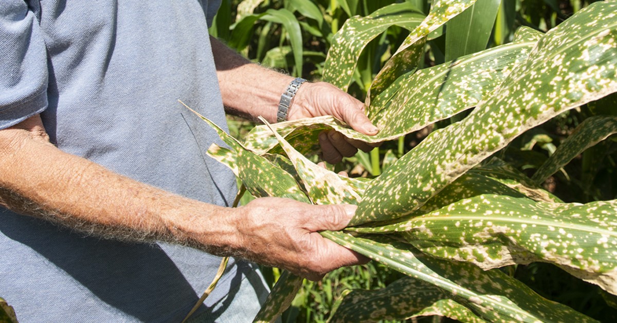 Maior produtor mundial de potássio fecha minas para forçar contínuo aumento do preço