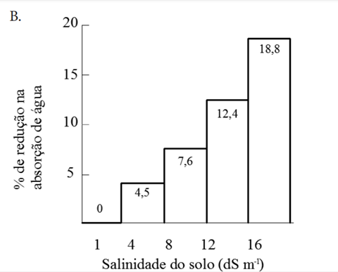 Quanto Maior O Nível De Salinidade Do Solo, Maior É A Porcentagem De Redução Na Absorção De Água Pelas Plantas (Fonte: Gheyi Et Al., 2016).