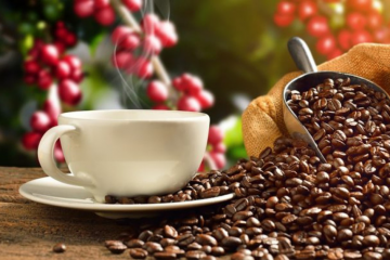 Saiba Mais Sobre A Polifenoloxidase, Enzima Que Está Ligada À Qualidade Do Café