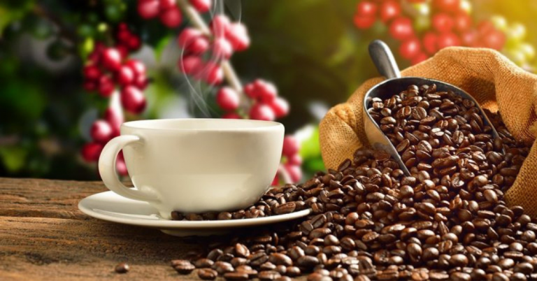 Saiba Mais Sobre A Polifenoloxidase, Enzima Que Está Ligada À Qualidade Do Café