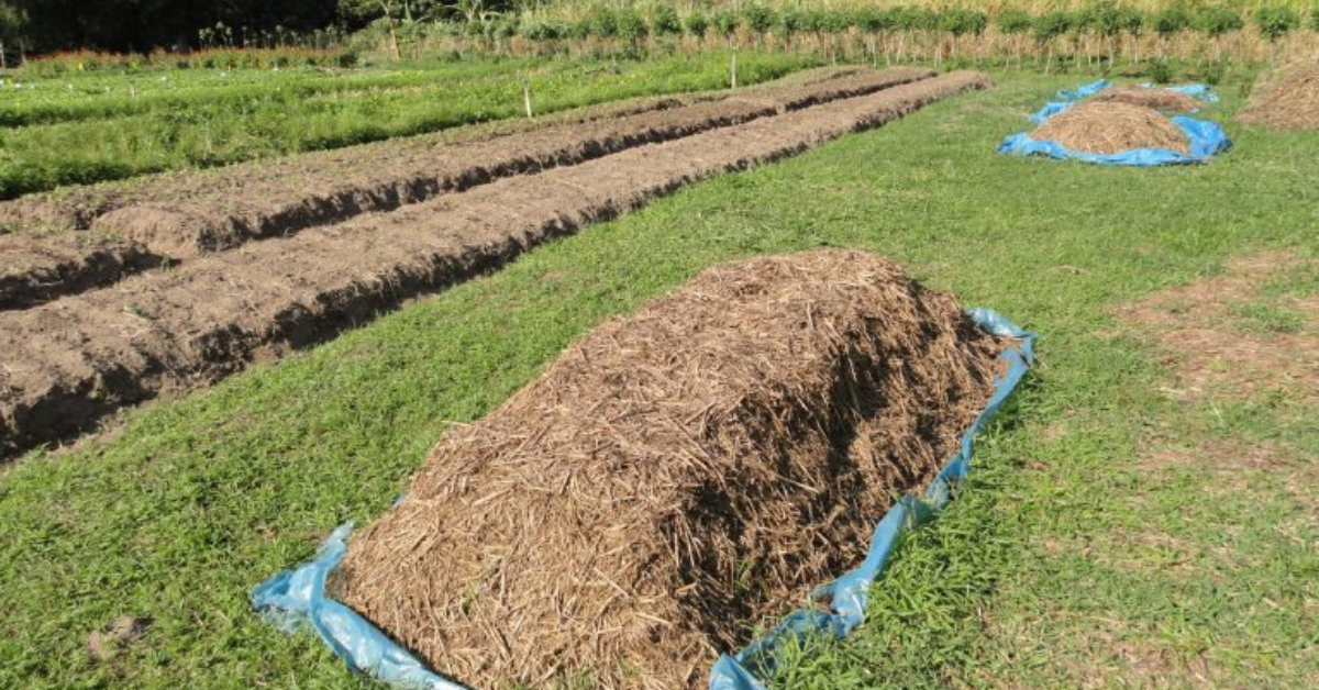 Sete benefícios da compostagem para a produção agrícola - Sete beneficios da compostagem para a producao agricola