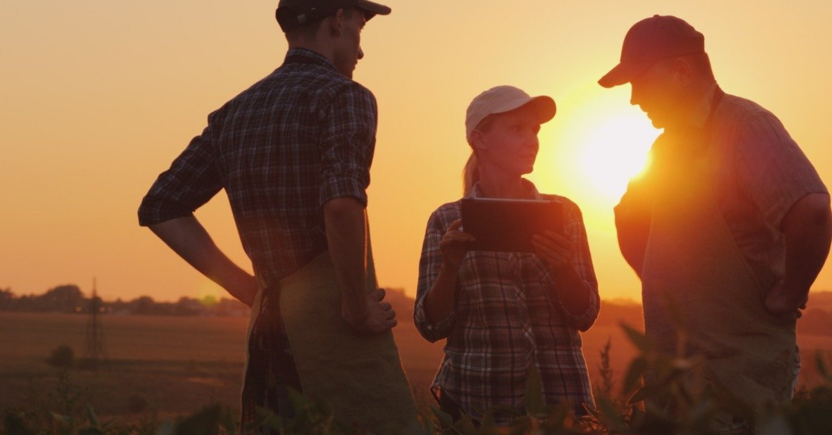 Aprenda estratégias para reduzir custos na agricultura de forma efetiva