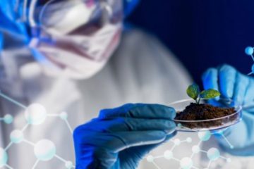 Novas Tecnologias Da Genética Microbiana São O Futuro Da Produtividade Agrícola