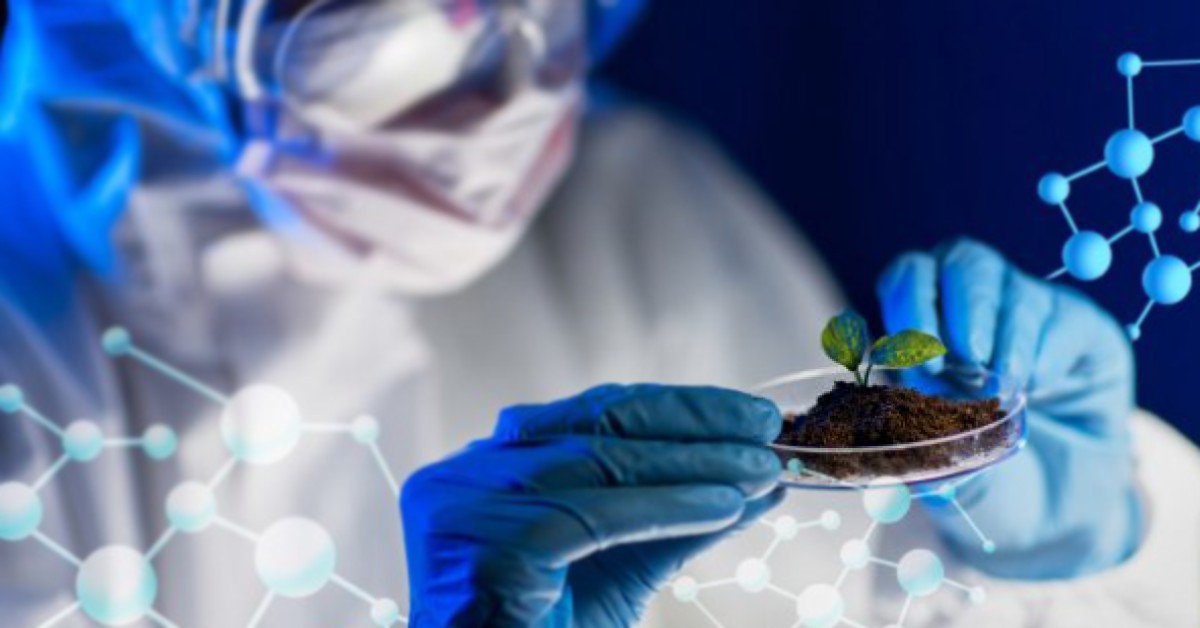 Novas tecnologias da genética microbiana são o futuro da produtividade agrícola