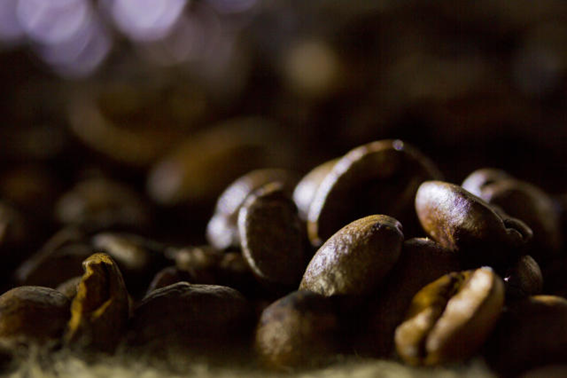 Em sistemas de produção que passaram por uma transição completa de 3 anos, o preço do café orgânico destinado para exportação chegou a R$1320,00 no levantamento realizado pela Cooperativa dos Costas. (Fonte: LANZETTA, P. - Embrapa Clima Temperado)