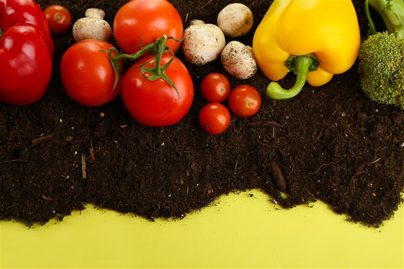 Por que os alimentos orgânicos têm atraído os consumidores brasileiros?