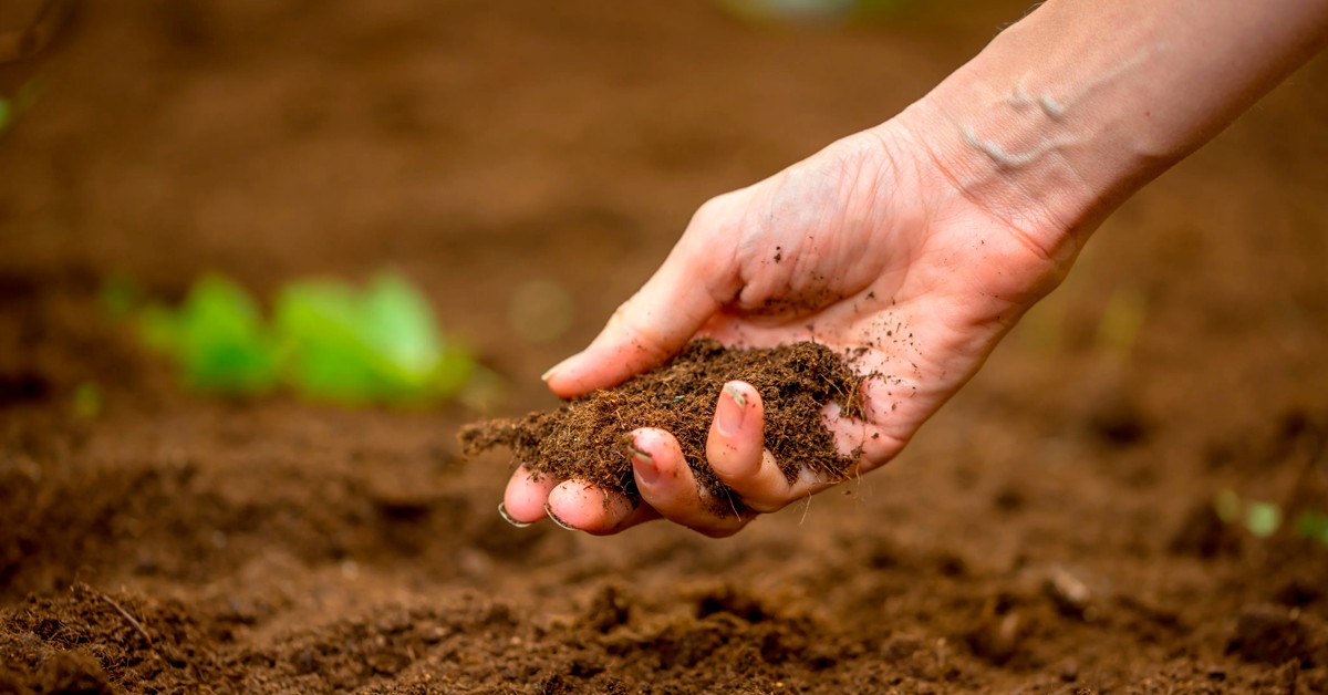 Entenda a importância de usar os métodos de análise de solo adequados no manejo agrícola do potássio