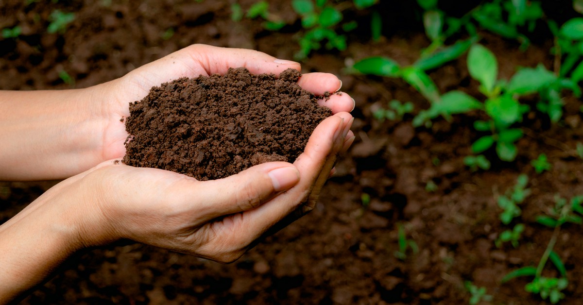 Cinco limitações do uso do Cloreto de Potássio como fertilizante