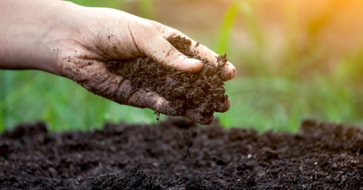 UM AGRICULTOR, BUSCANDO O AUMENTO DA PRODUTIVIDADE DE SUA