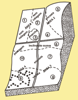 Plano de amostragem por caminhamento em ziguezague de uma gleba, com diferentes declives e usos de solo. (Fonte: Comissão De Fertilidade Do Solo- RS/SC, 1995).