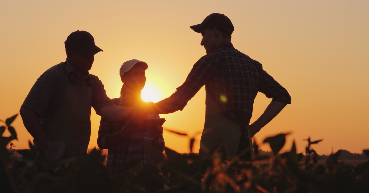 Como construir uma carreira de sucesso no setor de consultoria agronômica?