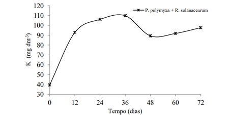 Curva De Liberação De Potássio Em Pó De Rocha Potássica Inoculada Com Paenibacillus Polymyxa + Ralstonia Solanacearum. (Fonte: Silva, 2013)