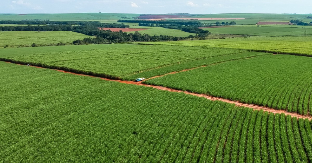 Como combater a salinização dos solos e aumentar a produtividade agrícola
