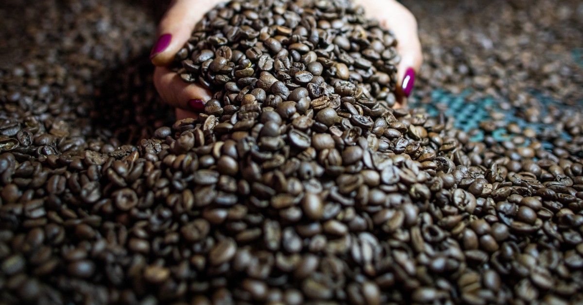Como a qualidade do café é influenciada pelas doses de potássio?
