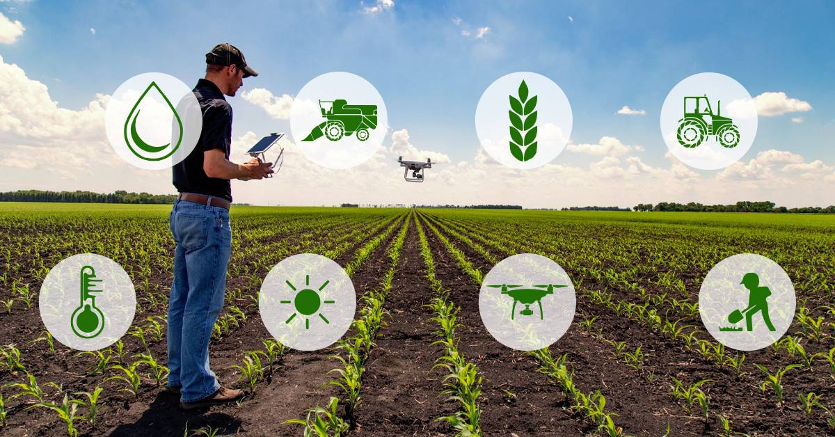 Como a agricultura de precisão pode reduzir os custos de adubação potássica em épocas de falta de fertilizante? - Como a agricultura de precisao pode reduzir os custos de adubacao potassica em epocas de falta de fertilizante