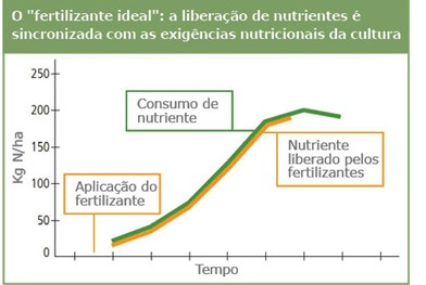 Ilustração de como seria a liberação ideal de nutrientes por um fertilizante 