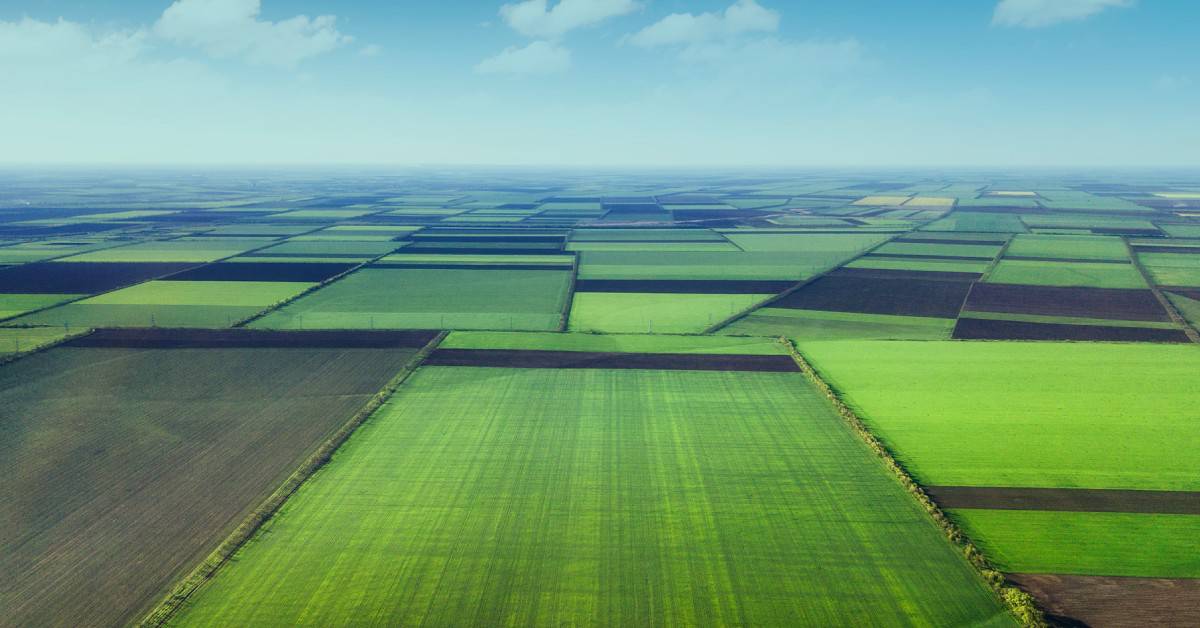 Como o manejo agrícola pode ajudar a reduzir emissões de gases de efeito estufa