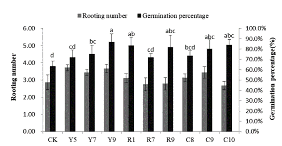 Percentual De Germinação E Número De Enraizamento De Sementes De Milho Inoculadas Com Diferentes Cepas De Microrganismos, Incluindo O Bacillus Aryabhattai (Y9