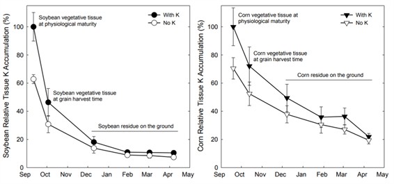 Taxa De Liberação De Potássio De Diferentes Resíduos Vegetais De Soja (Esquerda) E Milho (Direita) Ao Longo Do Tempo