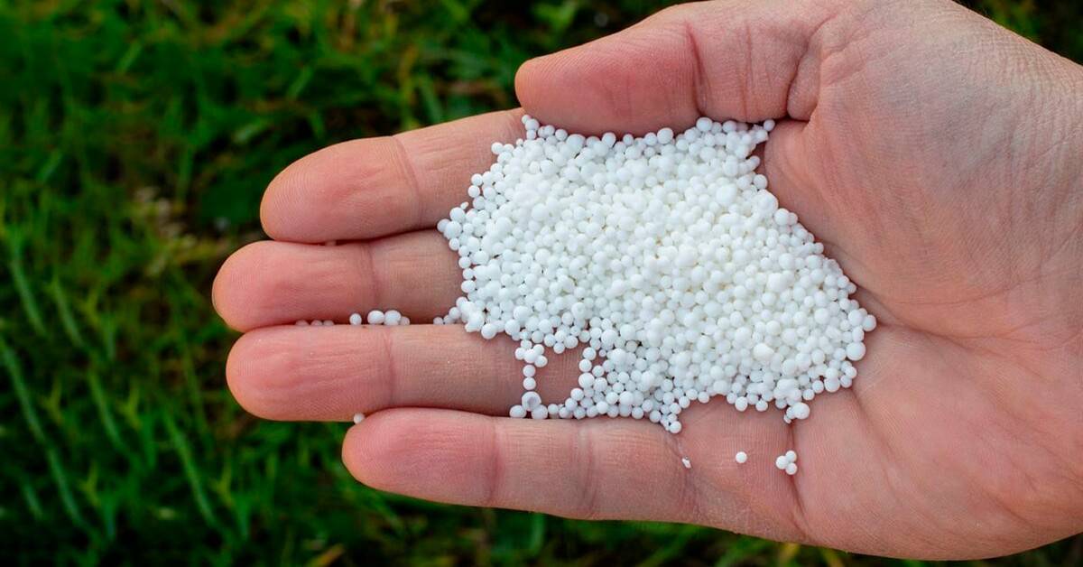 Pesquisa científica alerta para a presença de sódio em fertilizantes