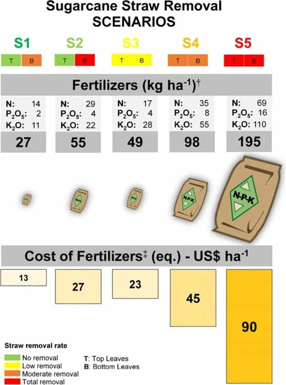 Quantidade de nutrientes (N-P2O5-K2O) e custo de fertilizantes necessários para compensar a remoção de nutrientes nos cinco cenários de remoção de palha de cana-de-açúcar