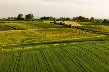 A Prática Da Agricultura Regenerativa Como Chave Para Uma Produção Mais Sustentável