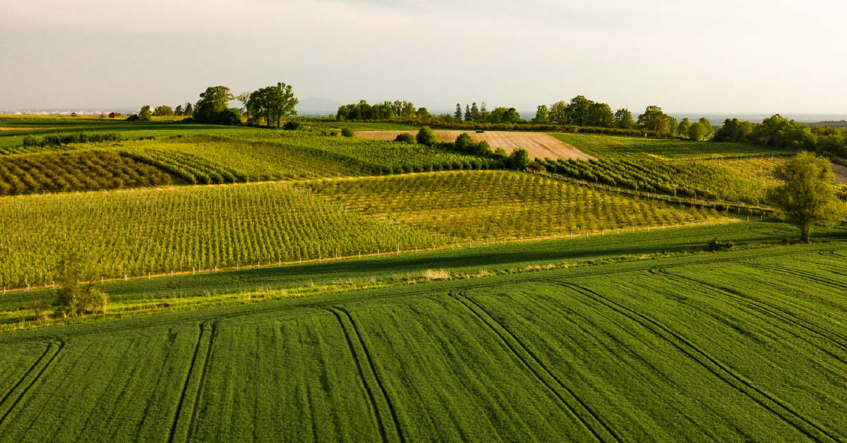 A prática da Agricultura regenerativa como chave para uma produção mais sustentável