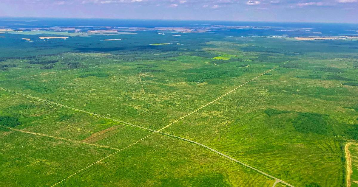 Conheça 3 práticas que aumentam a eficiência da adubação potássica