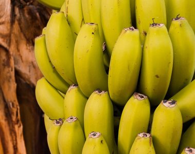 Manganês Na Banana: Descubra A Importância E Como Fazer O Manejo