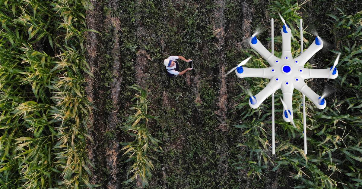 O uso de drones como aliado no controle biológico nas lavouras