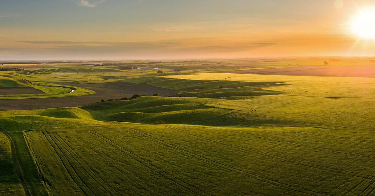 Boro: entenda mais sobre esse nutriente e seus benefícios para agricultura