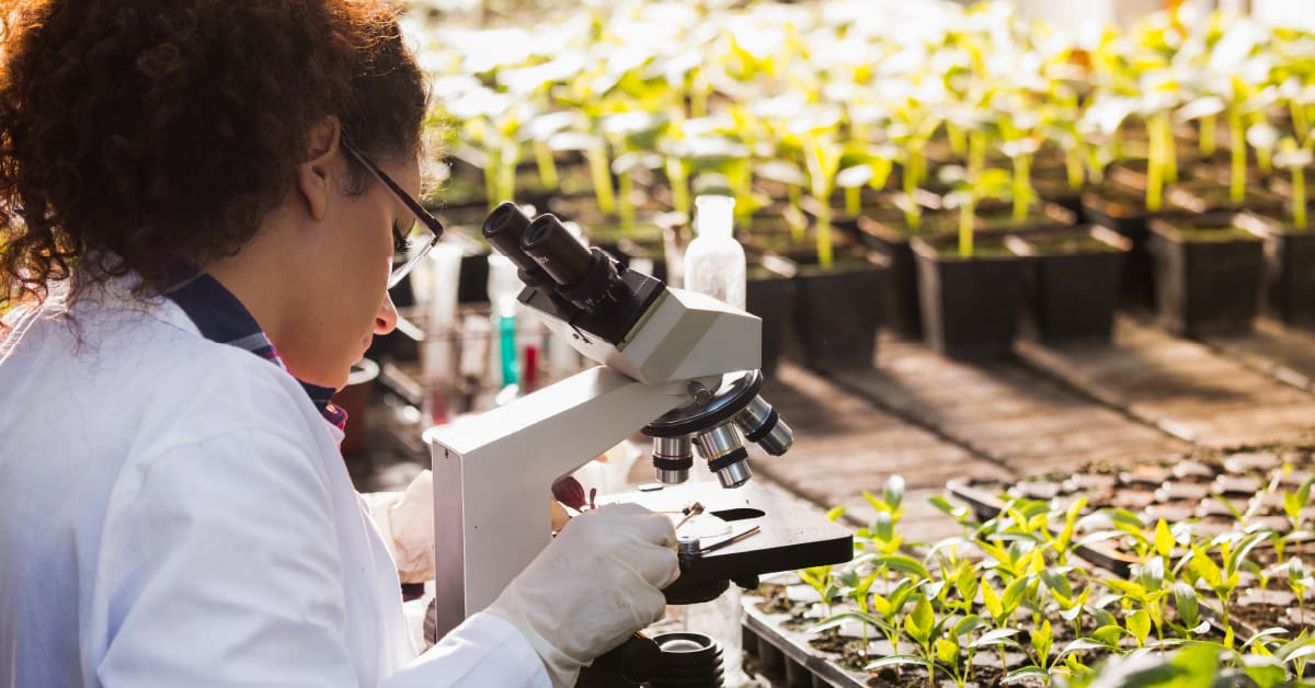 As nanopartículas do solo: entenda o que são e como elas interferem na aptidão agrícola natural do solo